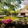 Весна в парке цветов. Чайный домик в японском саду :: Nina Yudicheva
