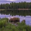 Вечером на Днепре :: Сергей Цветков