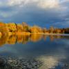 Там тонет в озере, собой любуясь, осень. :: Юрий. Шмаков
