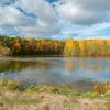 Осень на р,Свислочь :: Александр Мезенцев