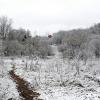 В городском парке после ночного снегопада. :: Милешкин Владимир Алексеевич 