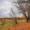 Октябрь в Царицыно... :: Владимир Жданов