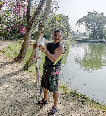Экскурсия на пресноводную рыбалку в Таиланде.
