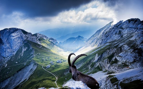 Удивительная природа Швейцарии