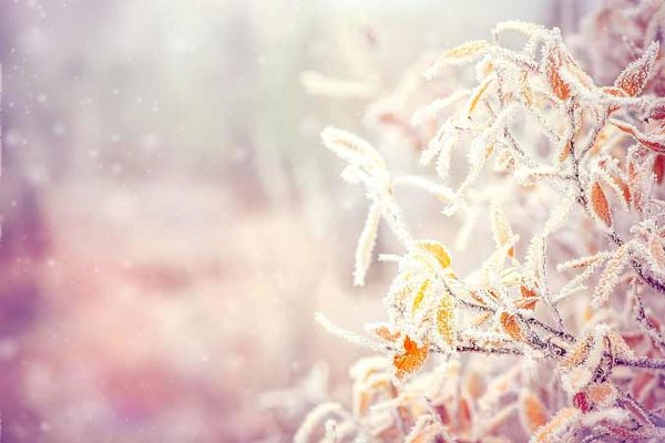 4 идеи для фотографий в снежные дни