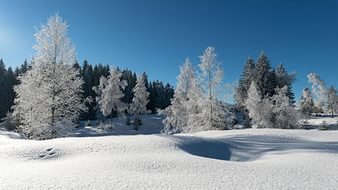 Так ли страшен КФХ ,как его малюют