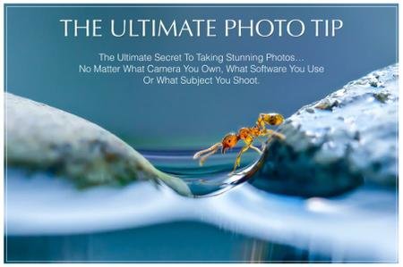 Extraordinary Vision - The Ultimate Photo Tip 2016