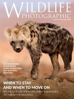 Wildlife Photographic (May-June 2016)