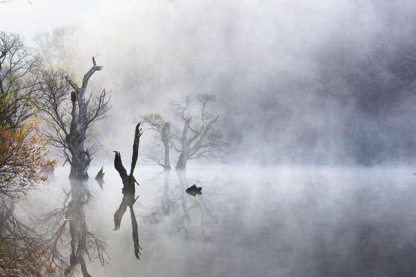 Jae Youn Ryu