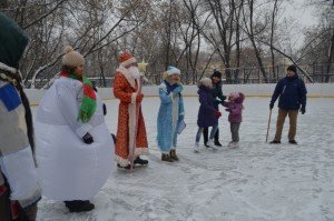 12.01.2017 Интерактивная спортивная программа на льду, посвященная Рождеству.