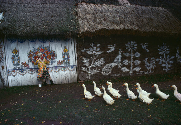 Фотограф Бруно Барби