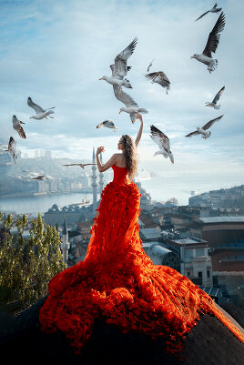 Фотограф в Стамбуле. Фотосессии в Стамбуле на крышах с чайками.