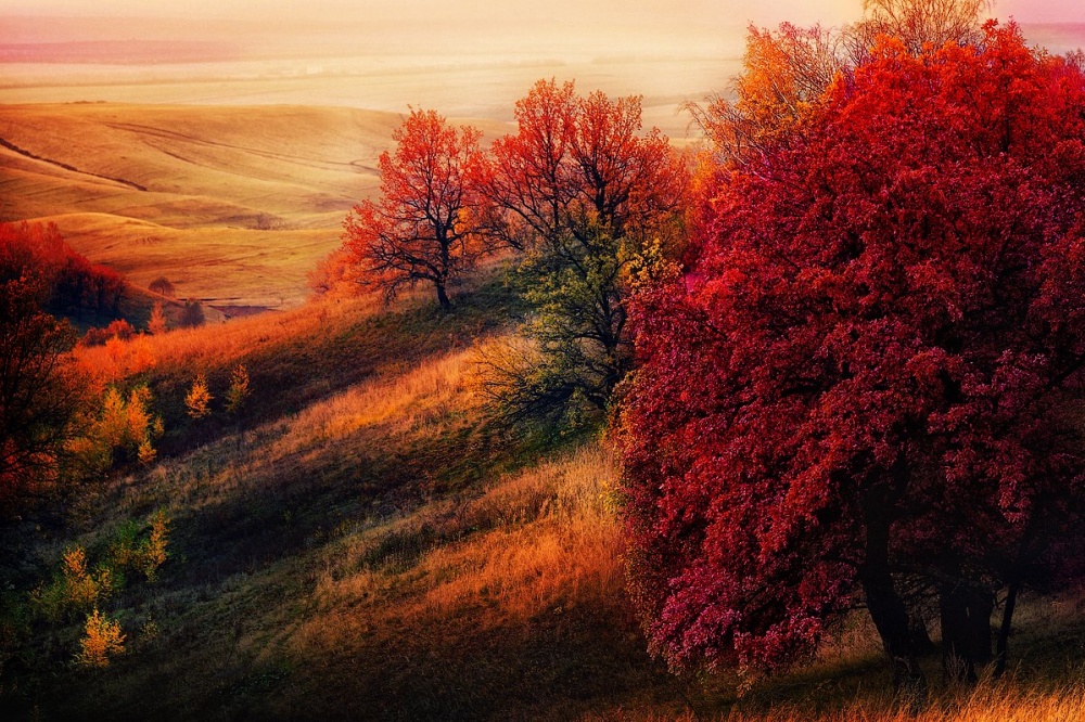 Название Фото Осеннего Пейзажа