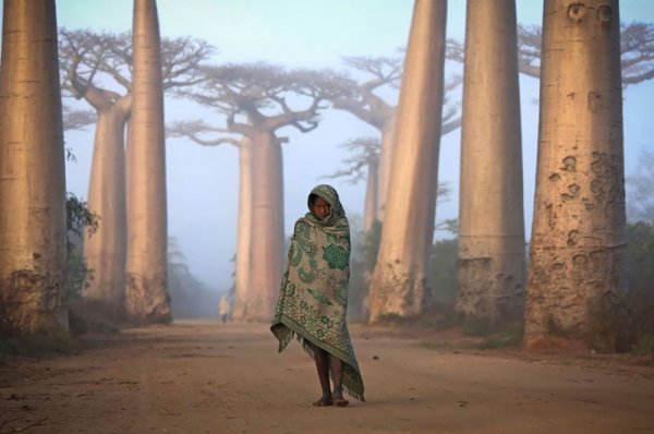 Девочка на фоне баобабов, Мадагаскар - эмоции человека фото