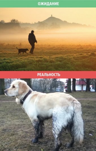 фото ожидание реальность