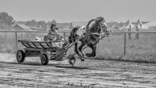 Владимир Чуприков - Доставка с ветерком (http://fotokto.ru/id138615)