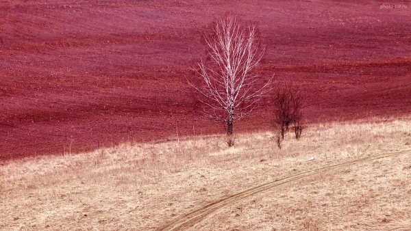 Фототур по Подмосковью на майские праздники - один день - №10