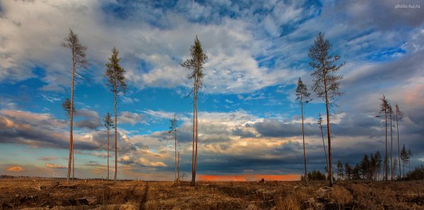 Фототур по Подмосковью на майские праздники - один день - №18