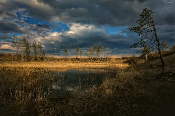 Фототур по Подмосковью на майские праздники - один день - №22