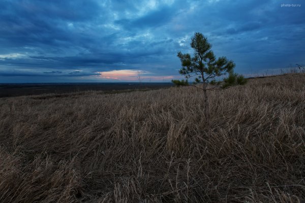 Фототур по Подмосковью на майские праздники - один день - №26