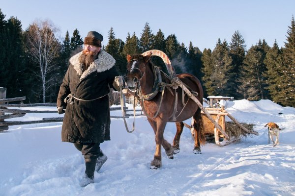 Цвеклинская Евгения Викторовна