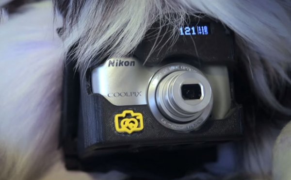 устройство фотоаппарата Nikon