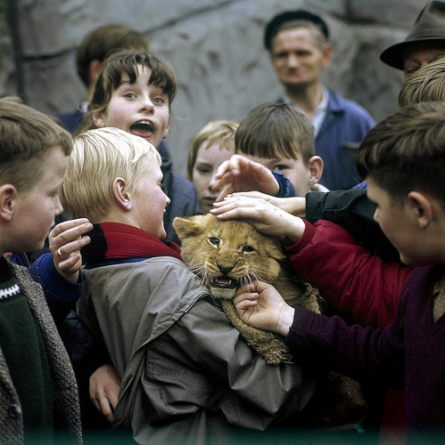 Фото животных из зоопарка на руках