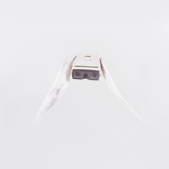 Летающие птицы-фотокамеры Пола Октавиуса - №10