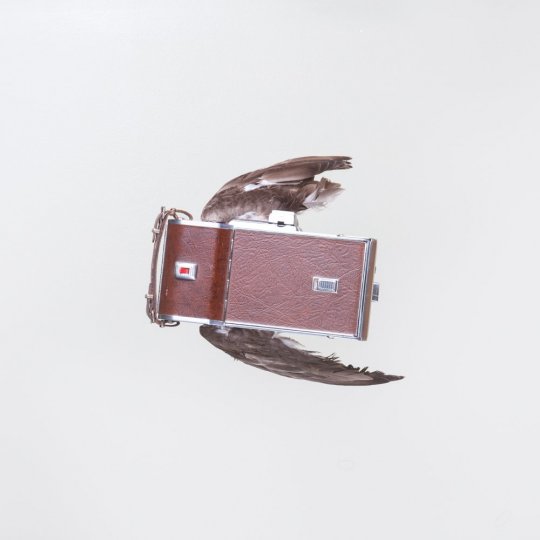 Летающие птицы-фотокамеры Пола Октавиуса - №9