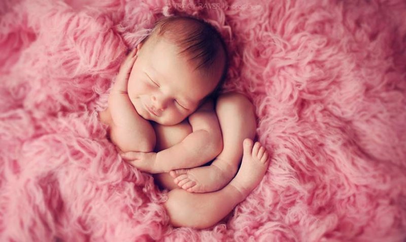 Спящие младенцы в фотографиях Трейси Рейвер - №20