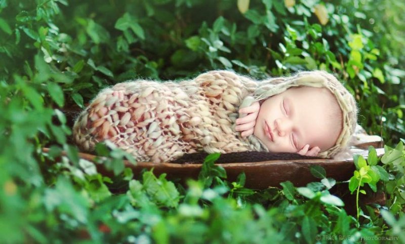 Спящие младенцы в фотографиях Трейси Рейвер - №28