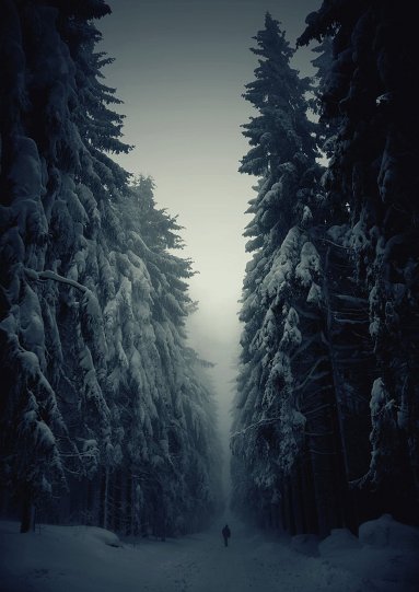 Фото зимний пейзаж