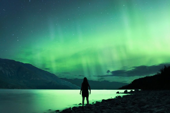 Elizabeth Gadd - №14