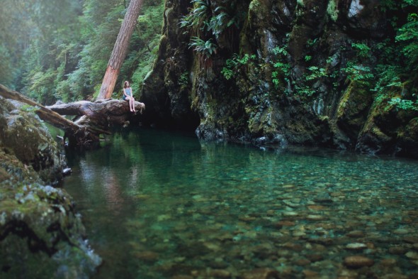 Elizabeth Gadd - №18