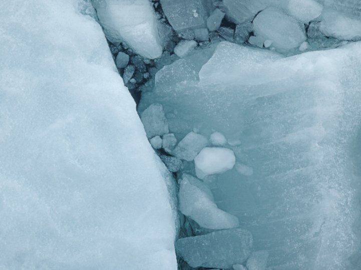 Арктика в фотографиях Дайан Тафт - №12