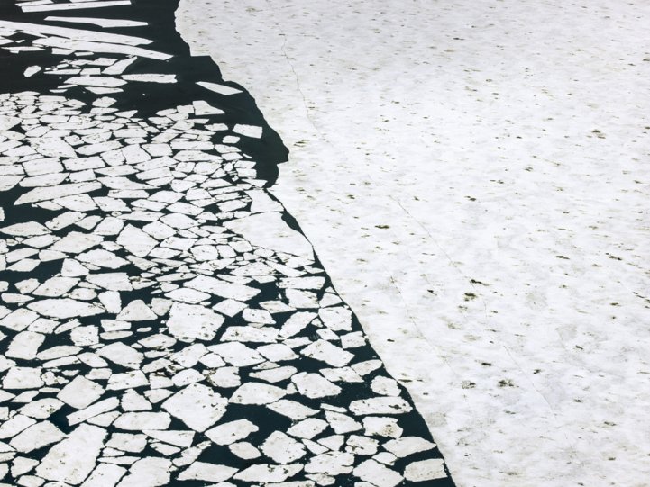 Арктика в фотографиях Дайан Тафт - №17
