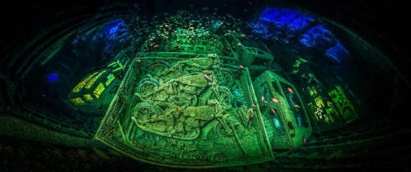 Автор фото: Тобиас Фридрих ( Германия). Место съёмки: затонувший британский вооружённый сухогруз «Тистлегорм», Шарм-эш-Шейх, Египет.