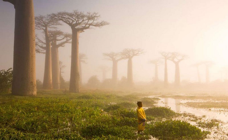 20 самых шедевральных снимков, сделанных для National Geographic - №15