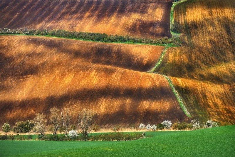 Фотограф Гжегож Левандовски - №21