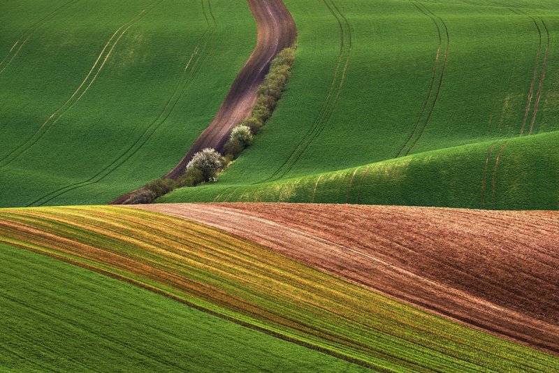 Фотограф Гжегож Левандовски - №26