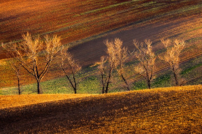 Фотограф Гжегож Левандовски - №30