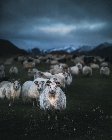 Профессиональный фотограф Canon Nordic из Исландии - №3
