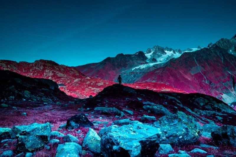 «Жизнь на Марсе», Кэти Фарр, победитель в категории «цветная инфракрасная съёмка».