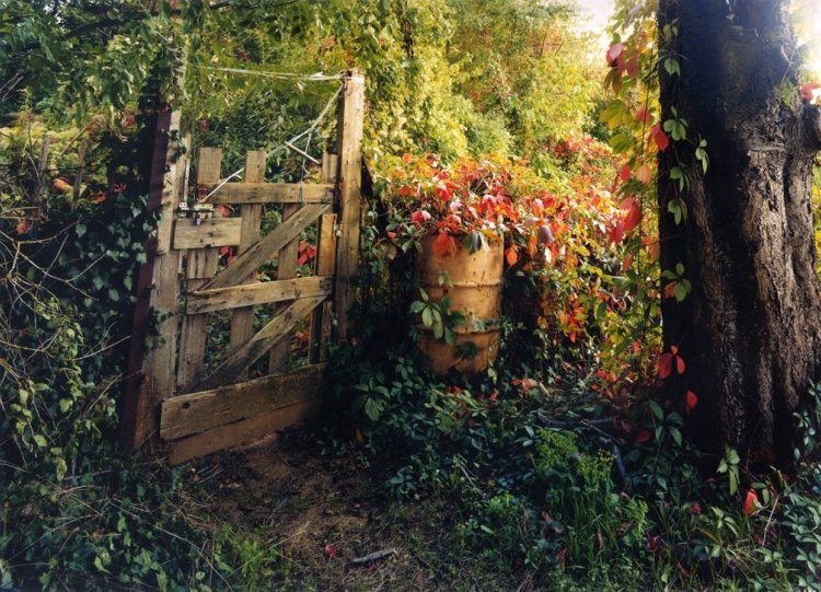 «Садовая калитка», Валь-д’Уаз, 2006 год. Фотограф Симона Нивег.