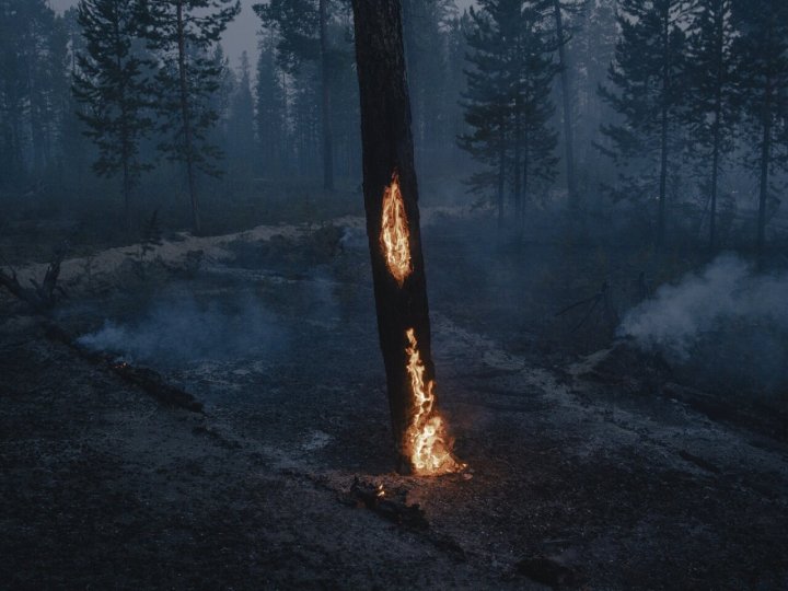 Победитель, Европа, 2022. «Как горит мёрзлая земля». Лесной пожар, Саха, 5 июля 2021 года. Автор Нанна Хайтманн.