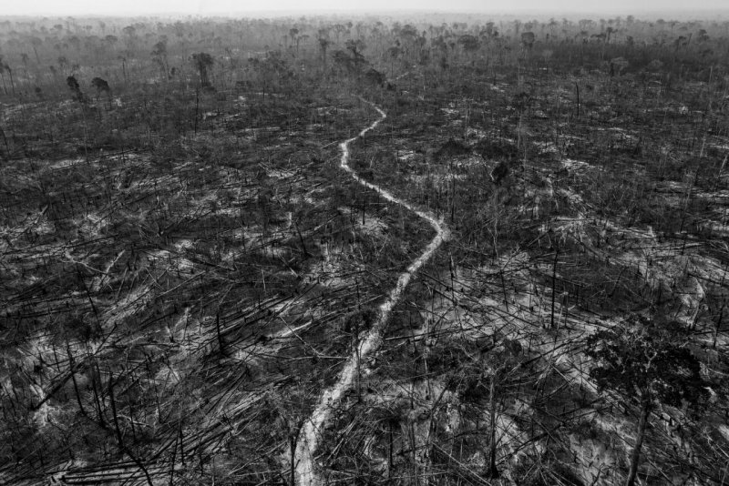 Победитель, Южная Америка, 2022. «Амазонская антиутопия». Проект об угрозе, что влечёт за собой вырубка тропических лесов. Автор Лало де Алмейд.