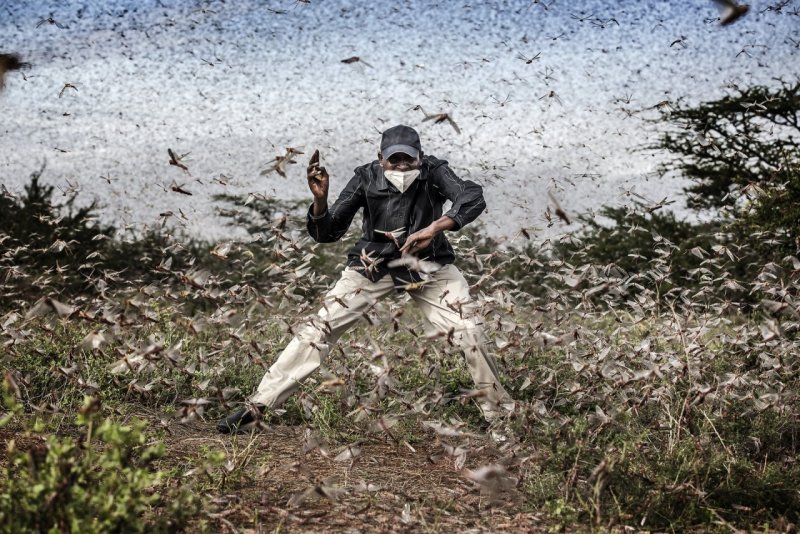 3 место в категории «Природа», 2021. Глава поселения в округе Самбуру, Кения, пытается отогнать рой саранчи, опустошающий пастбища, 24 апреля 2020 года. Автор Луис Тато.