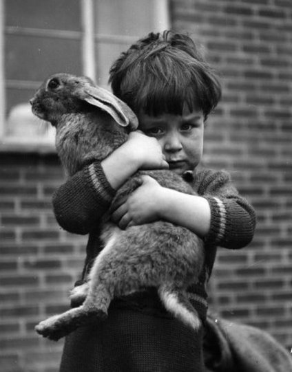 Любимый питомец. Лондон, 1952 год. Фотограф Чарльз Хьюитт.