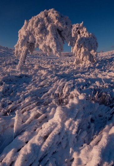 Зимние фото пейзажи из Крыма - №26