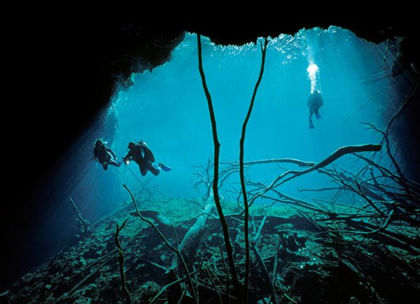 Дайвинг в подводных пещерах - красивые фото природы - №1